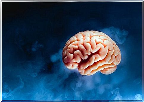 Brain tsunami: what happens in the brain before you die?