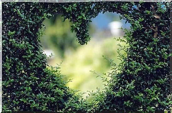 Heart in hedge