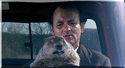 Bill Murray with marmots