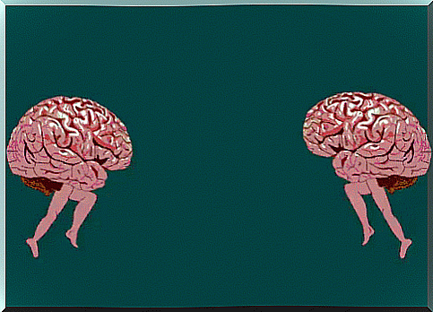 Clash between brains