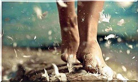Feet surrounded by falling feathers