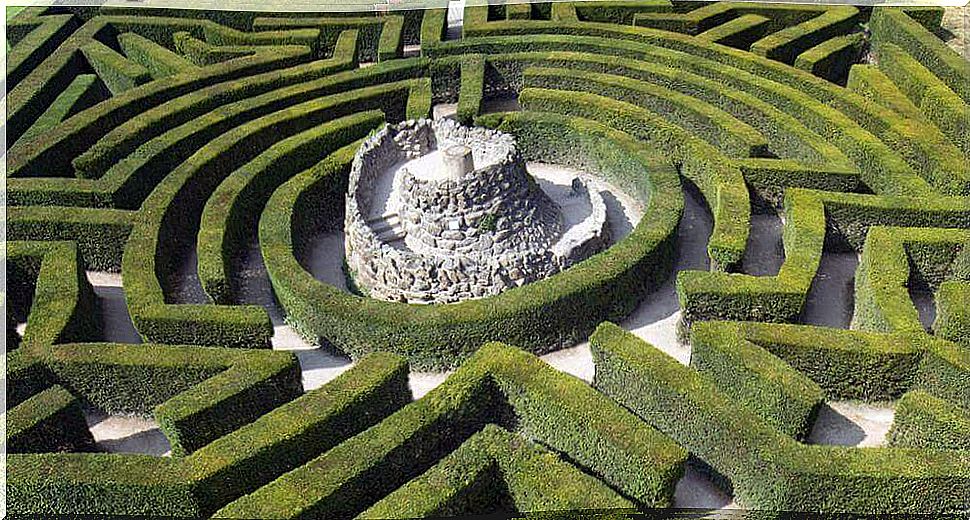 Labyrinth of hedges