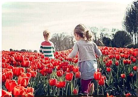 Two children walk through a tulip field and learn socio-emotional skills